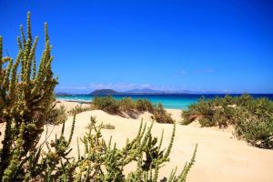 Fuerteventura promocija – 8 dana/7 noći već od 485 €! Avio prevoz i hotel po najnižoj ceni. Egzotika sa španskim šmekom to je pravi opis Fuerteventure.